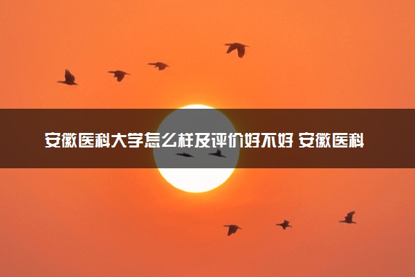 安徽医科大学怎么样及评价好不好 安徽医科大学口碑如何