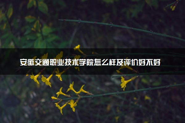 安徽交通职业技术学院怎么样及评价好不好 安徽交通职业技术学院口碑如何