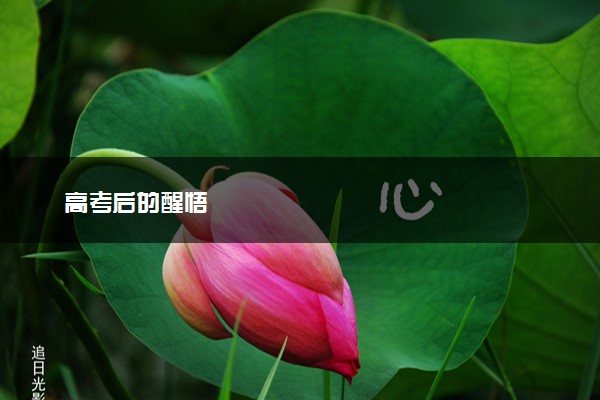 高考后的醒悟