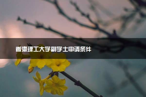 香港理工大学副学士申请条件