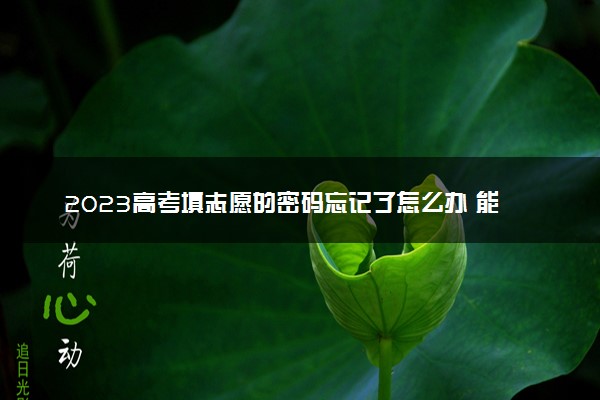2023高考填志愿的密码忘记了怎么办 能找回密码吗