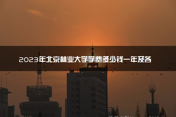 2023年北京林业大学学费多少钱一年及各专业收费标准查询 大约需要多少费用