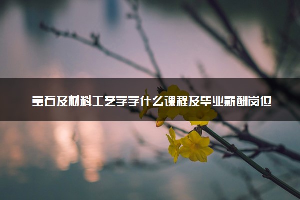 宝石及材料工艺学学什么课程及毕业薪酬岗位去向 就业前景怎么样