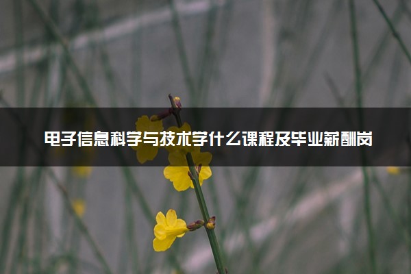电子信息科学与技术学什么课程及毕业薪酬岗位去向 就业前景怎么样