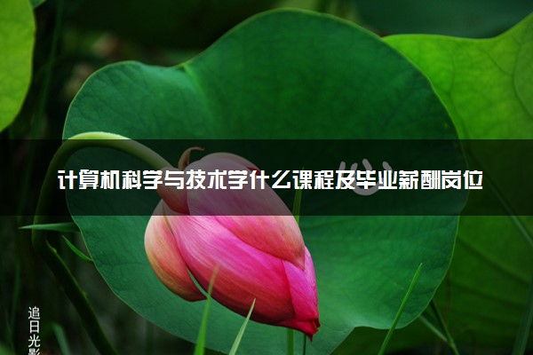 计算机科学与技术学什么课程及毕业薪酬岗位去向 就业前景怎么样