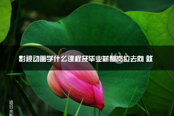 影视动画学什么课程及毕业薪酬岗位去向 就业前景怎么样