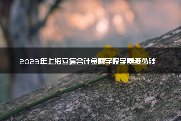 2023年上海立信会计金融学院学费多少钱一年及各专业收费标准查询 大约需要多少费用
