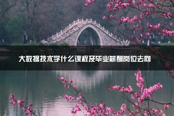 大数据技术学什么课程及毕业薪酬岗位去向 就业前景怎么样