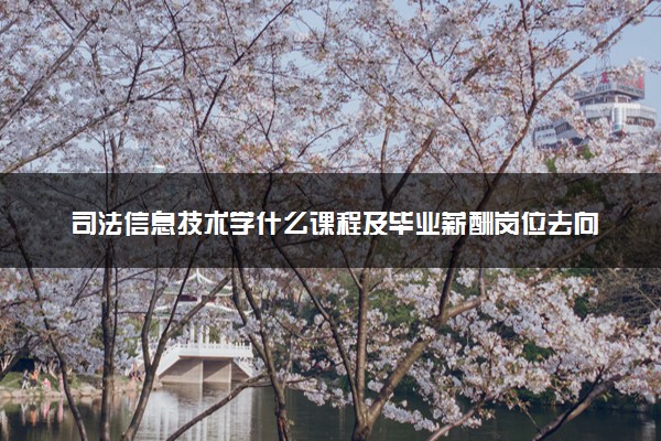 司法信息技术学什么课程及毕业薪酬岗位去向 就业前景怎么样
