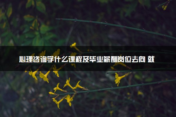 心理咨询学什么课程及毕业薪酬岗位去向 就业前景怎么样