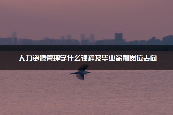 人力资源管理学什么课程及毕业薪酬岗位去向 就业前景怎么样