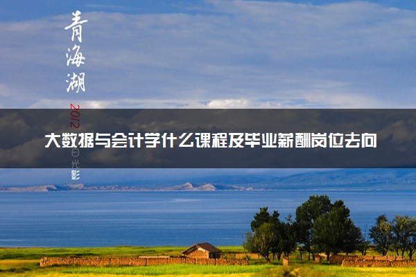 大数据与会计学什么课程及毕业薪酬岗位去向 就业前景怎么样