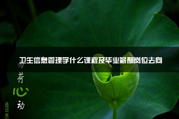 卫生信息管理学什么课程及毕业薪酬岗位去向 就业前景怎么样