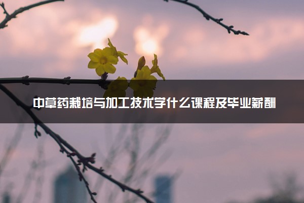 中草药栽培与加工技术学什么课程及毕业薪酬岗位去向 就业前景怎么样