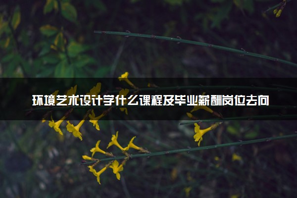环境艺术设计学什么课程及毕业薪酬岗位去向 就业前景怎么样
