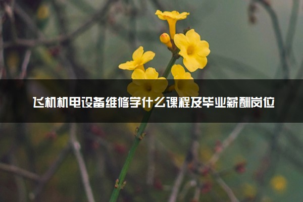 飞机机电设备维修学什么课程及毕业薪酬岗位去向 就业前景怎么样