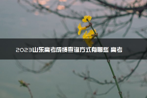 2023山东高考成绩查询方式有哪些 高考查分网站入口