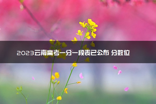 2023云南高考一分一段表已公布 分数位次排名（理科）