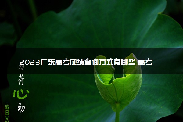 2023广东高考成绩查询方式有哪些 高考查分网站入口