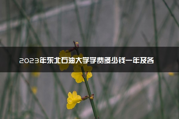 2023年东北石油大学学费多少钱一年及各专业收费标准查询 大约需要多少费用