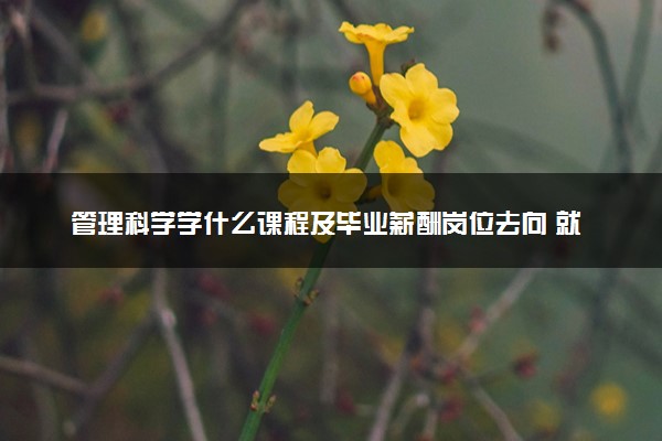 管理科学学什么课程及毕业薪酬岗位去向 就业前景怎么样