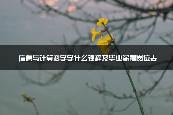 信息与计算科学学什么课程及毕业薪酬岗位去向 就业前景怎么样