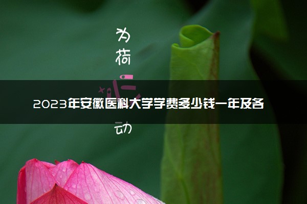 2023年安徽医科大学学费多少钱一年及各专业收费标准查询 大约需要多少费用