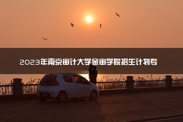 2023年南京审计大学金审学院招生计划专业及各省录取分数线位次