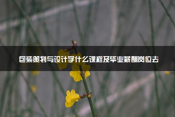 包装策划与设计学什么课程及毕业薪酬岗位去向 就业前景怎么样