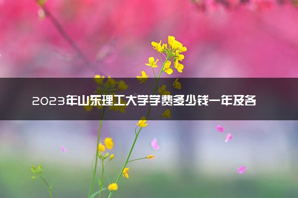 2023年山东理工大学学费多少钱一年及各专业收费标准查询 大约需要多少费用