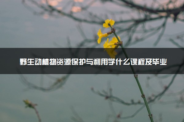 野生动植物资源保护与利用学什么课程及毕业薪酬岗位去向 就业前景怎么样