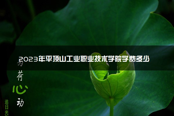 2023年平顶山工业职业技术学院学费多少钱一年及各专业收费标准查询 大约需要多少费用