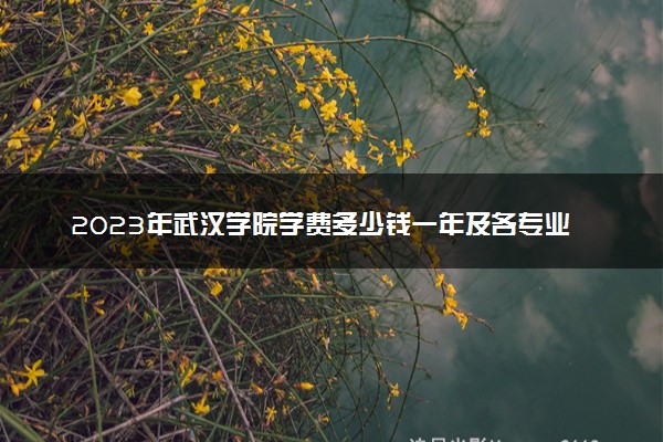 2023年武汉学院学费多少钱一年及各专业收费标准查询 大约需要多少费用