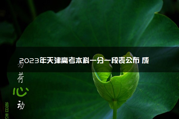2023年天津高考本科一分一段表公布 成绩排名