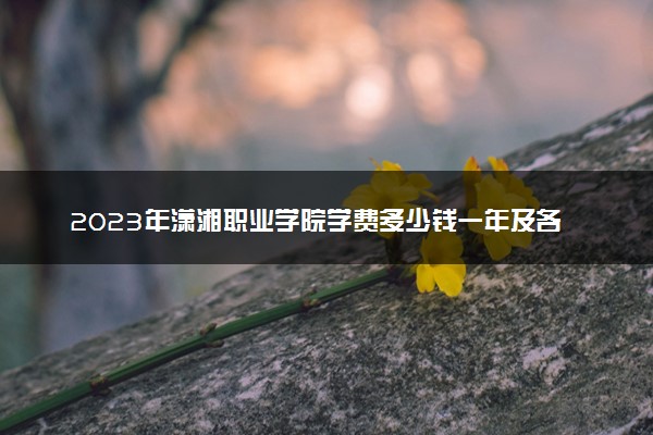 2023年潇湘职业学院学费多少钱一年及各专业收费标准查询 大约需要多少费用