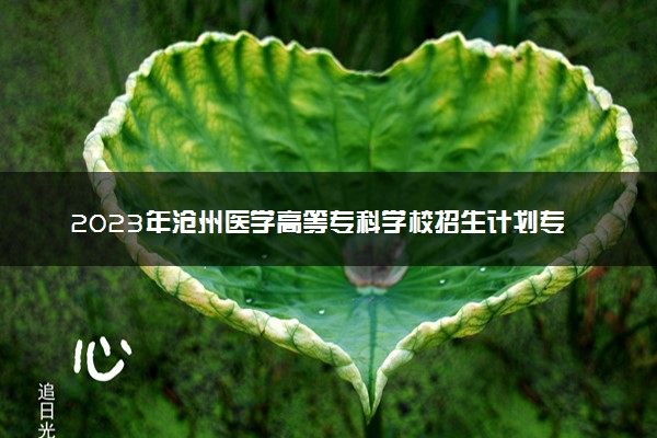 2023年沧州医学高等专科学校招生计划专业及各省录取分数线位次