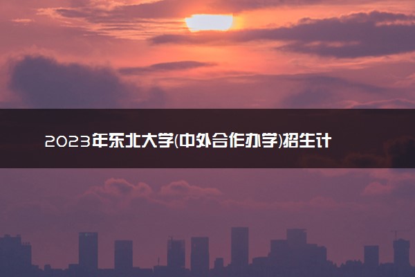 2023年东北大学(中外合作办学)招生计划专业及各省录取分数线位次