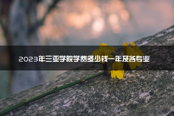 2023年三亚学院学费多少钱一年及各专业收费标准查询 大约需要多少费用
