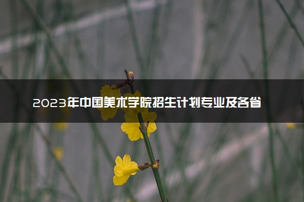2023年中国美术学院招生计划专业及各省录取分数线位次