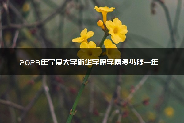 2023年宁夏大学新华学院学费多少钱一年及各专业收费标准查询 大约需要多少费用