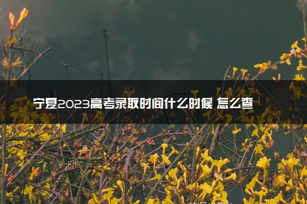 宁夏2023高考录取时间什么时候 怎么查看录取结果