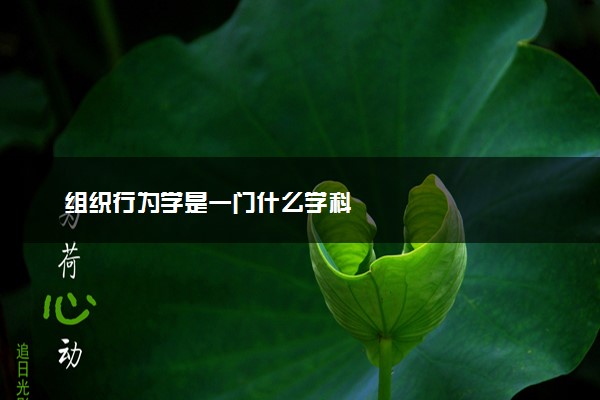 组织行为学是一门什么学科