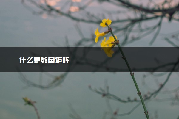 什么是数量矩阵
