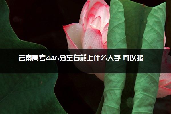 云南高考446分左右能上什么大学 可以报哪些公办院校(2023报考推荐)