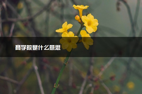 商学院是什么意思