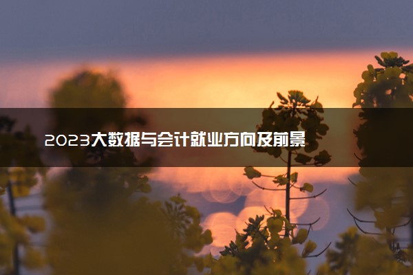 2023大数据与会计就业方向及前景