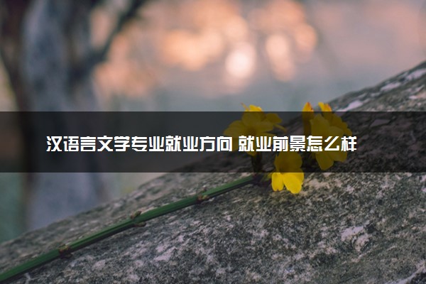 汉语言文学专业就业方向 就业前景怎么样