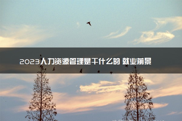 2023人力资源管理是干什么的 就业前景怎么样