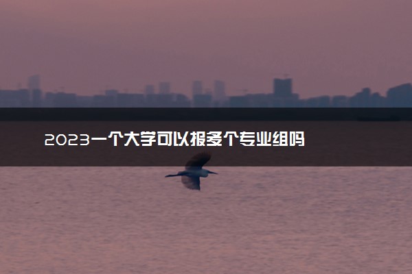 2023一个大学可以报多个专业组吗
