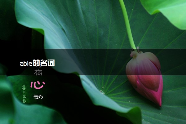 able的名词